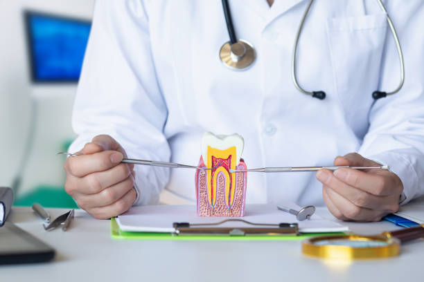 Best Emergency Orthodontic Repairs in Manville, NJ